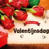Valentijnsdag | 9789463411769