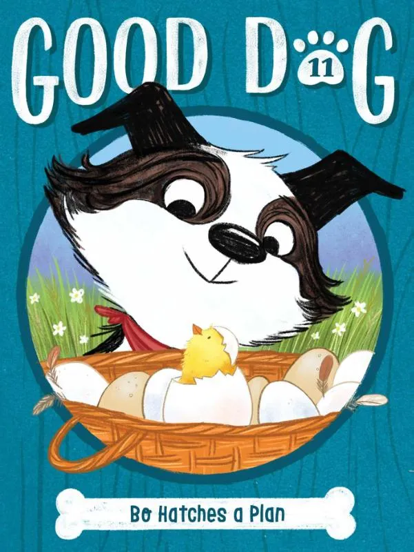 Bo Hatches a Plan | 9781665930758 Bo Hatches a Plan