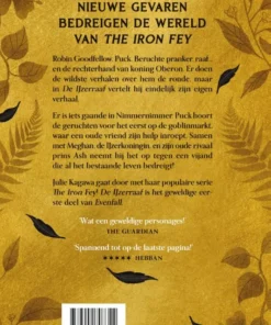 Alternative view of De IJzerraaf