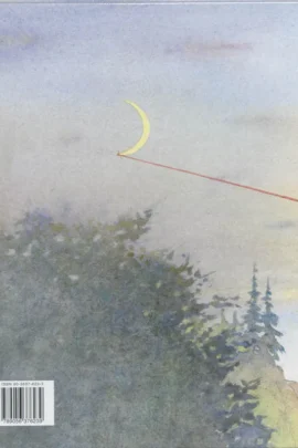 Mijn held | 9789056376239