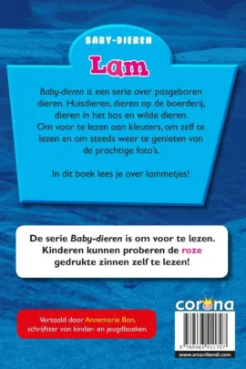 Alternative view of Lam