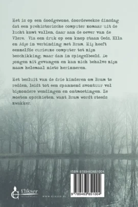 Spiegelink | 9789463651004 Spiegelink | 9789463651004