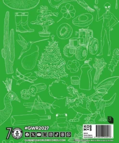 Alternative view of Guinness World Records 2027