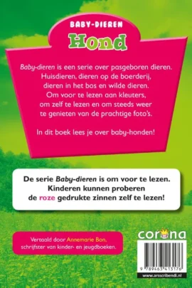 Alternative view of Hond