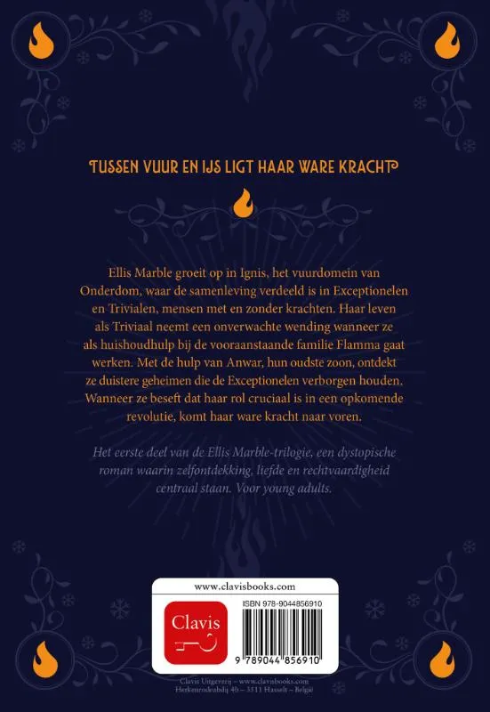De bevroren vlammenzee | 9789044856910 De bevroren vlammenzee - Afbeelding 2