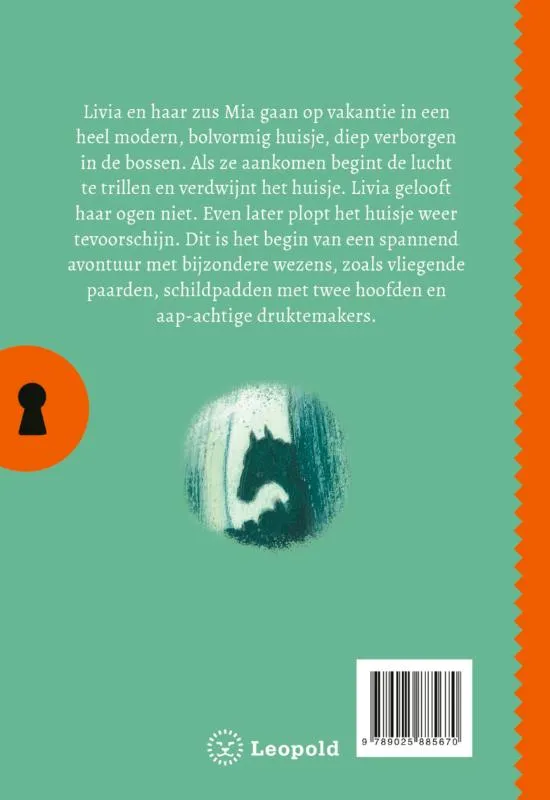 Het geheim van het verdwenen huis | 9789025885670 Het geheim van het verdwenen huis - Afbeelding 2