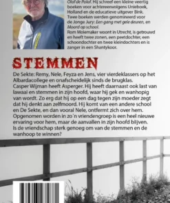 Alternative view of Stemmen