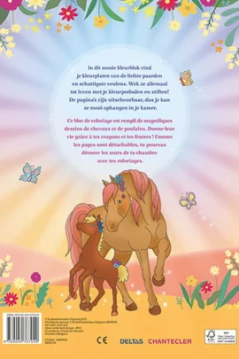 Alternative view of Ik hou van paarden kleurblok / J'aime les chevaux bloc de coloriage