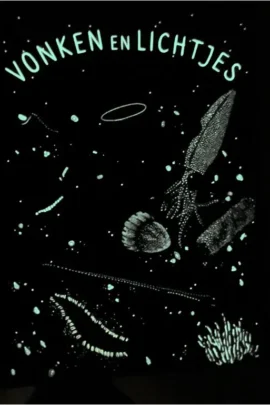 Alternative view of Vonken en lichtjes