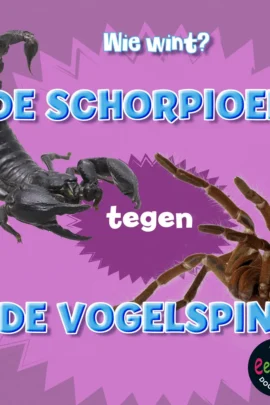 De schorpioen tegen de vogelspin