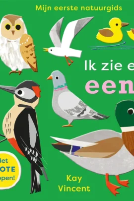 Ik zie een eend