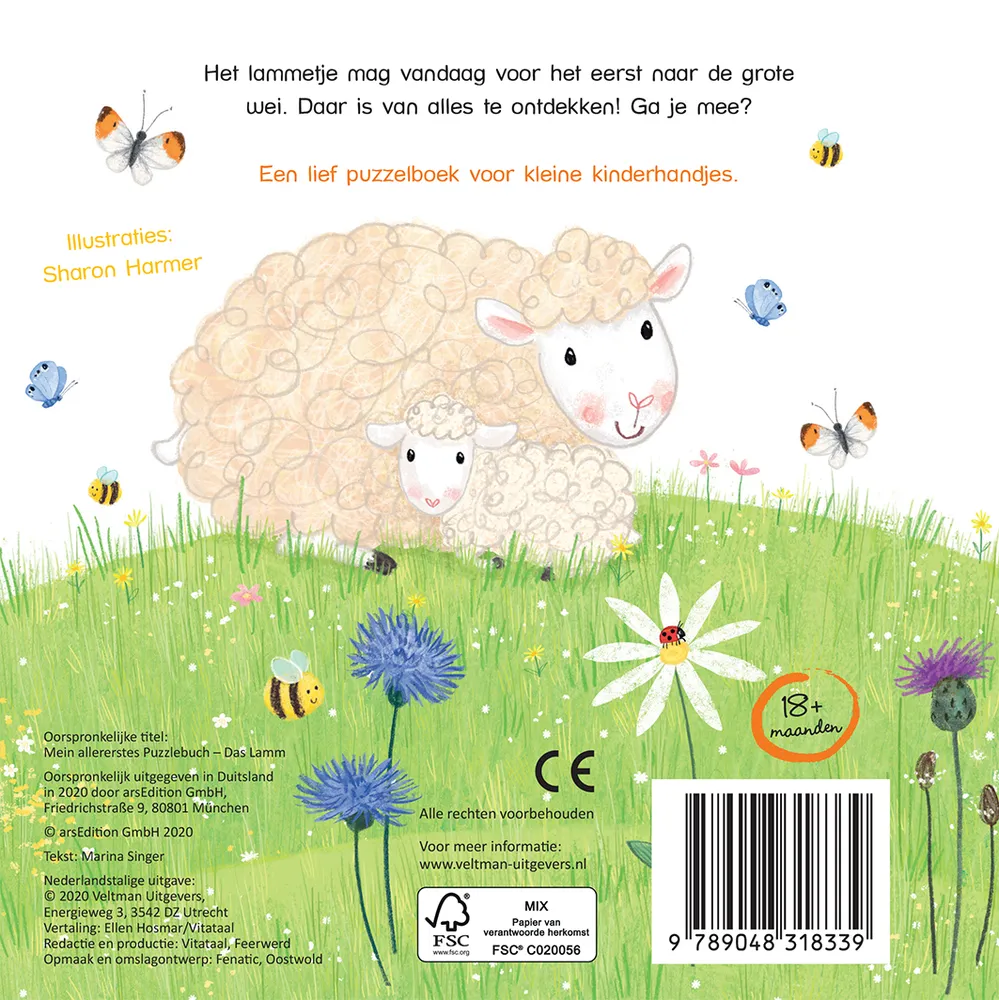 Het lammetje | 9789048318339 Het lammetje - Afbeelding 2