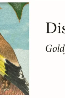 Adventkalender Sounds of de birds | 4050003952505