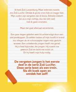 Alternative view of De vergeten jongen