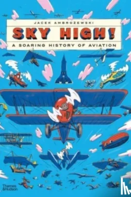 A Soaring History of Aviation