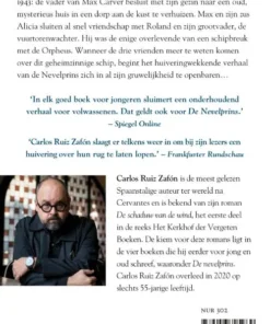 Alternative view of De Nevelprins