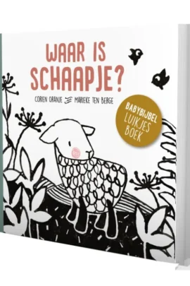 Waar is schaapje?